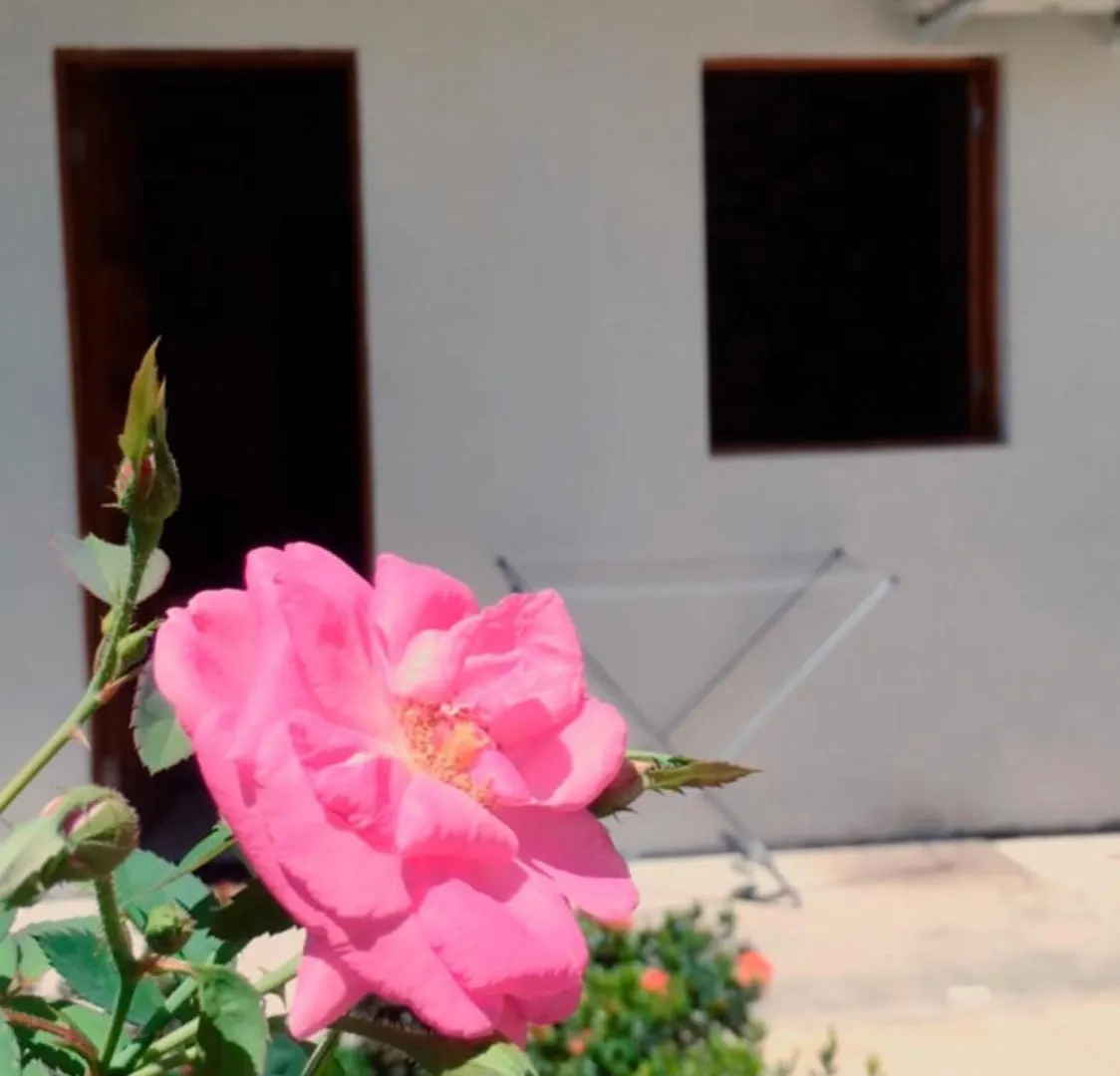 Apartamento Cantinho Da Dheia 03 Pôrto das Galinhas Brasil